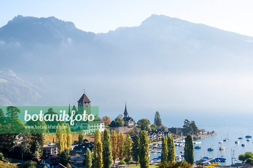 453188 - Château et marina, Spiez, Suisse