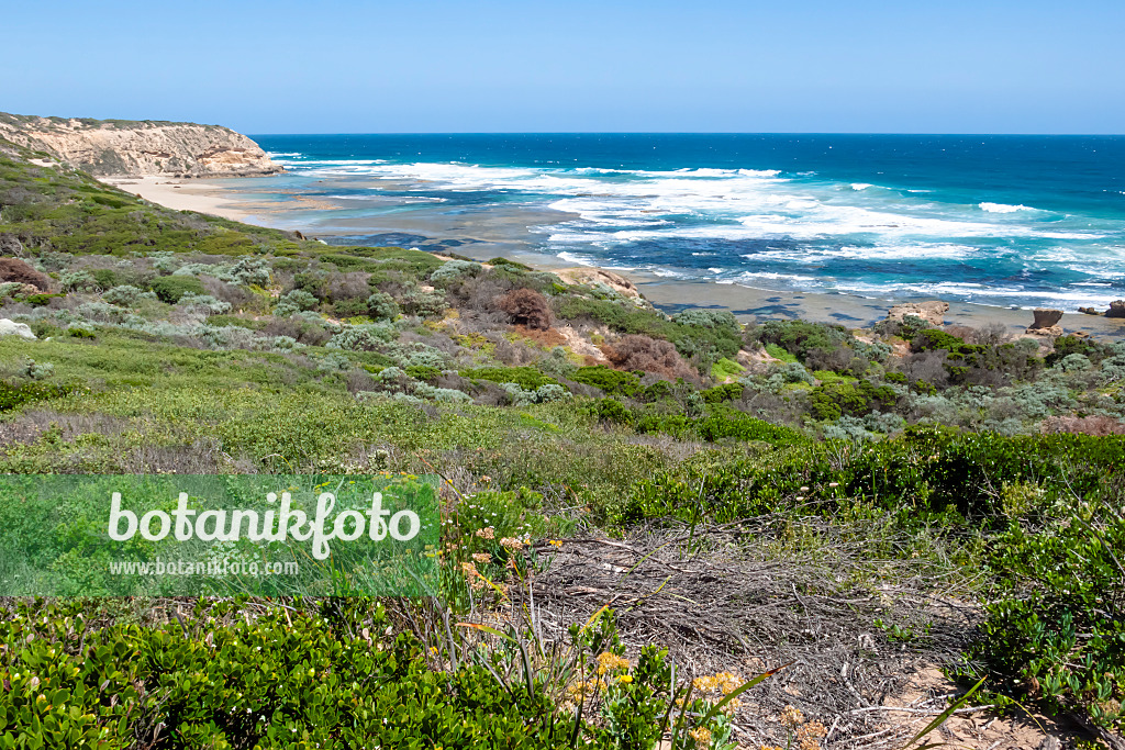 455255 - Cheviot Beach, parc national de Point Nepean, Australie