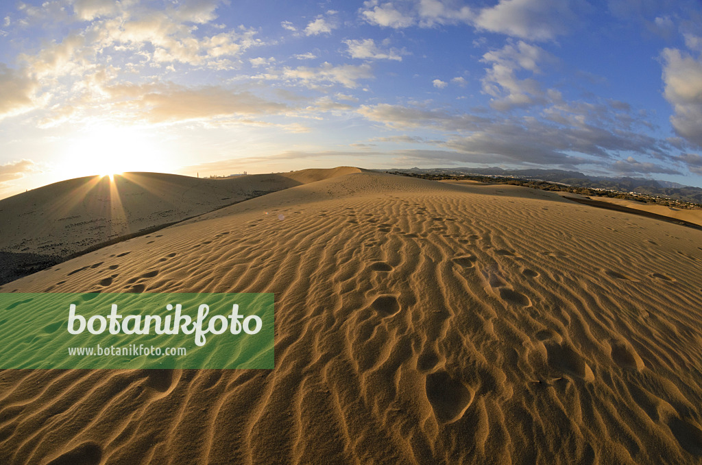 564236 - Dunes mouvantes au crépuscule, Maspalomas, Gran Canaria, Espagne