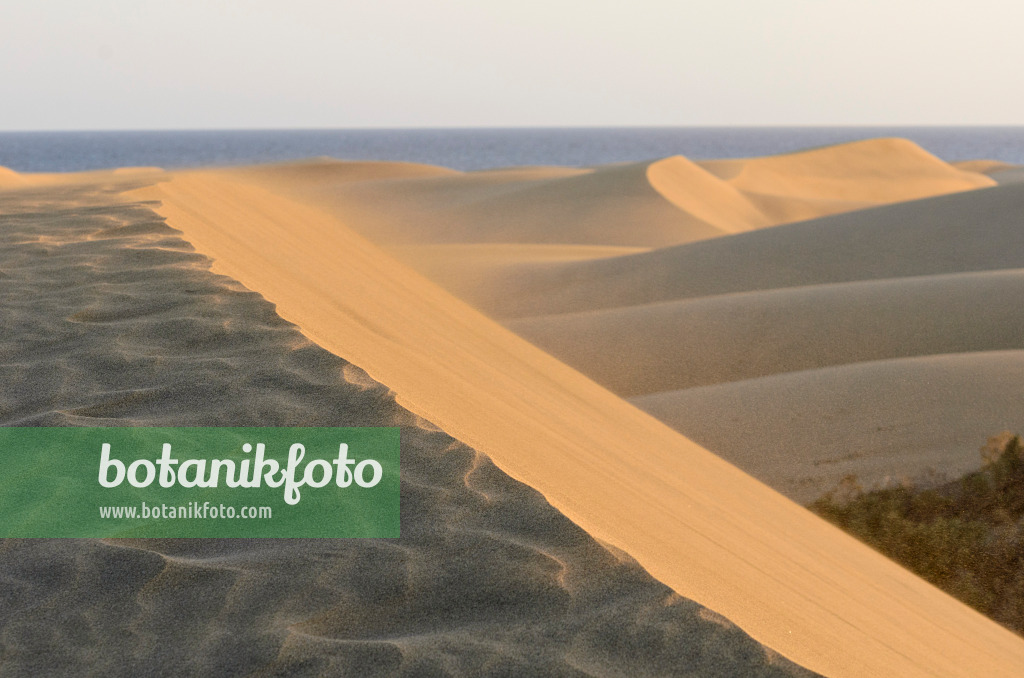 564058 - Dunes mouvantes, Maspalomas, Gran Canaria, Espagne