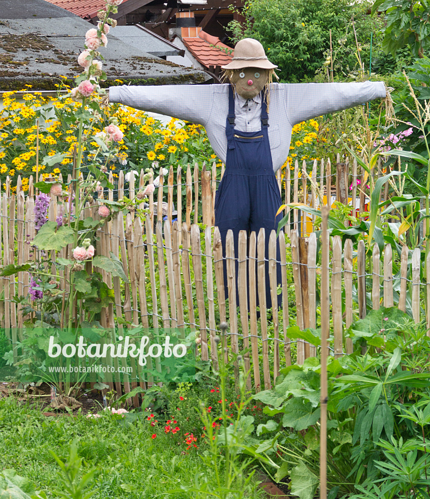 559022 - Épouvantail dans un jardin