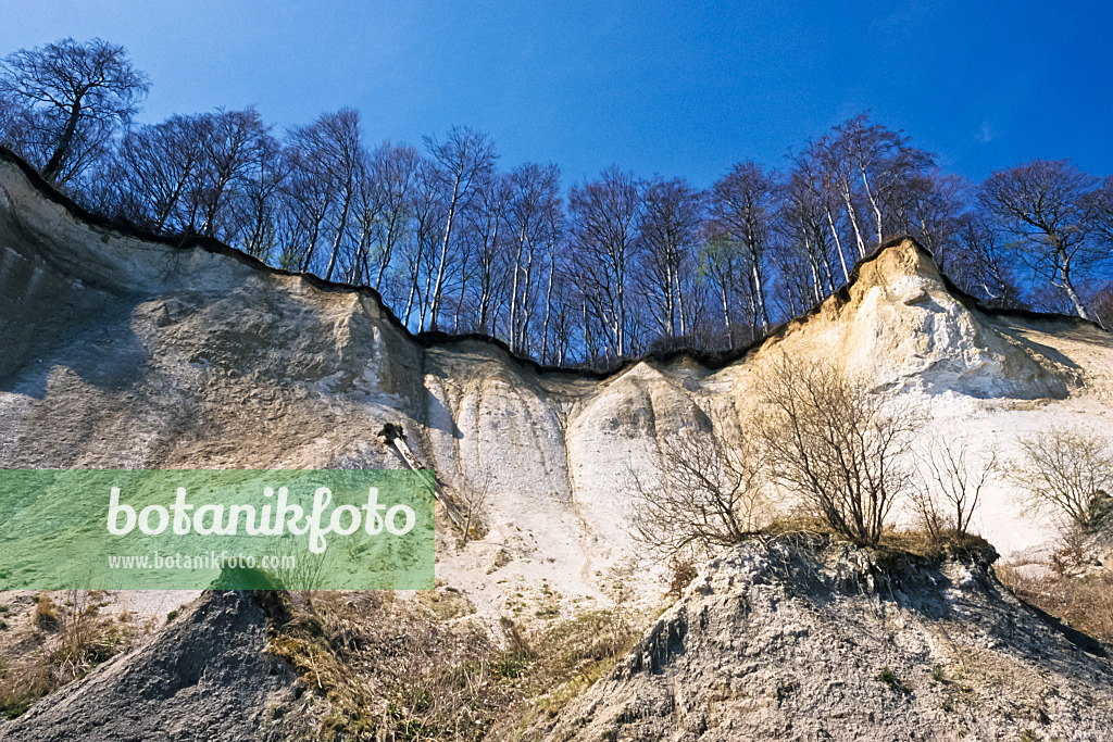 378005 - Falaises de craie, parc national de Jasmund, Rügen, Allemagne