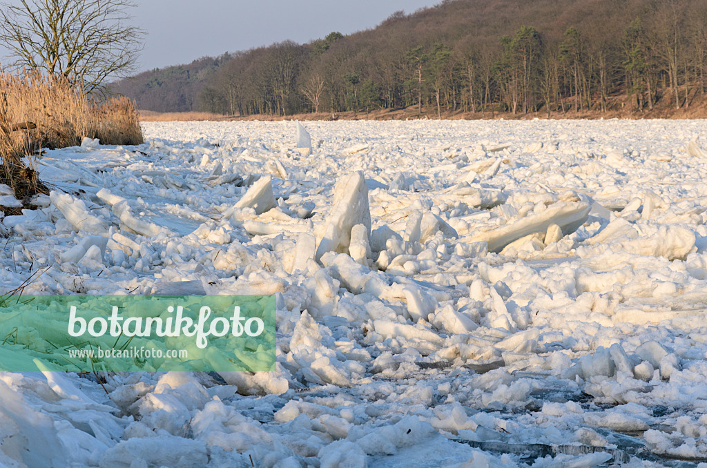 529025 - Glaces flottantes sur l'Oder, parc national de la vallée de la Basse-Oder, Allemagne