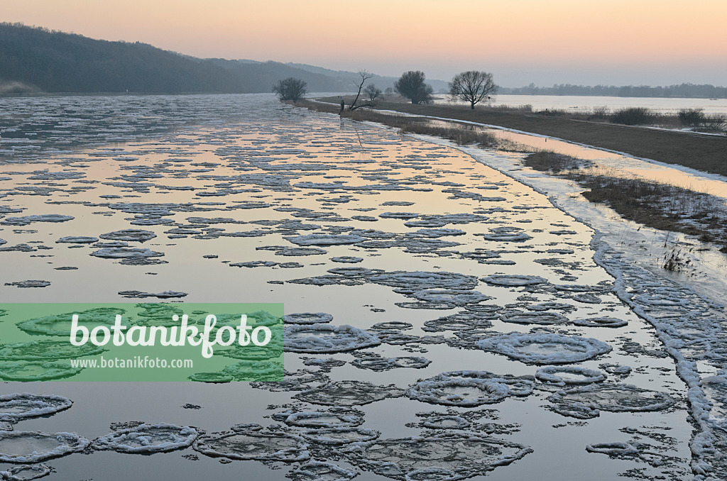 565010 - Glaces flottantes sur l'Oder, parc national de la vallée de la Basse-Oder, Allemagne