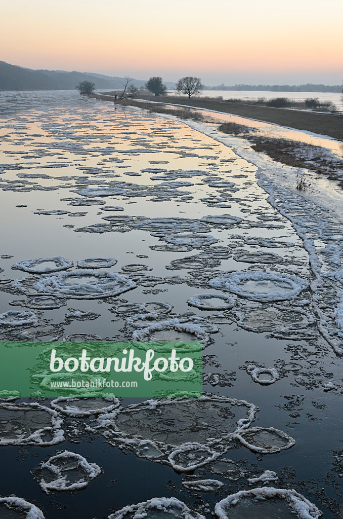 565011 - Glaces flottantes sur l'Oder, parc national de la vallée de la Basse-Oder, Allemagne