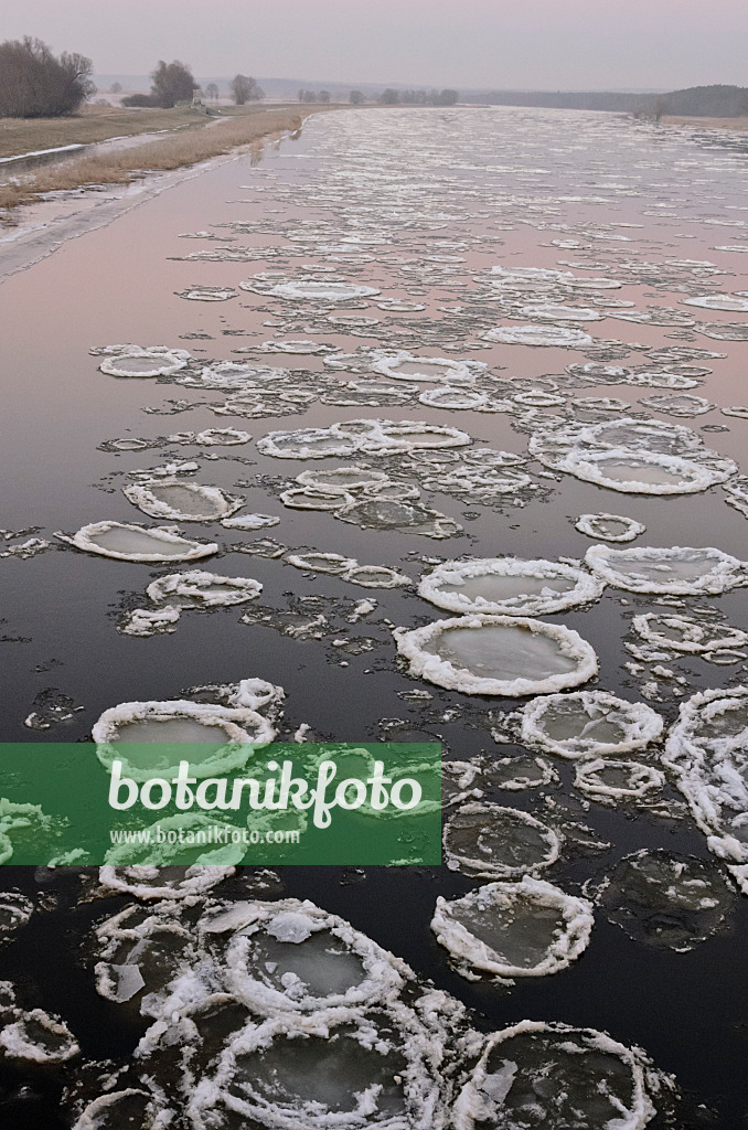 565013 - Glaces flottantes sur l'Oder, parc national de la vallée de la Basse-Oder, Allemagne