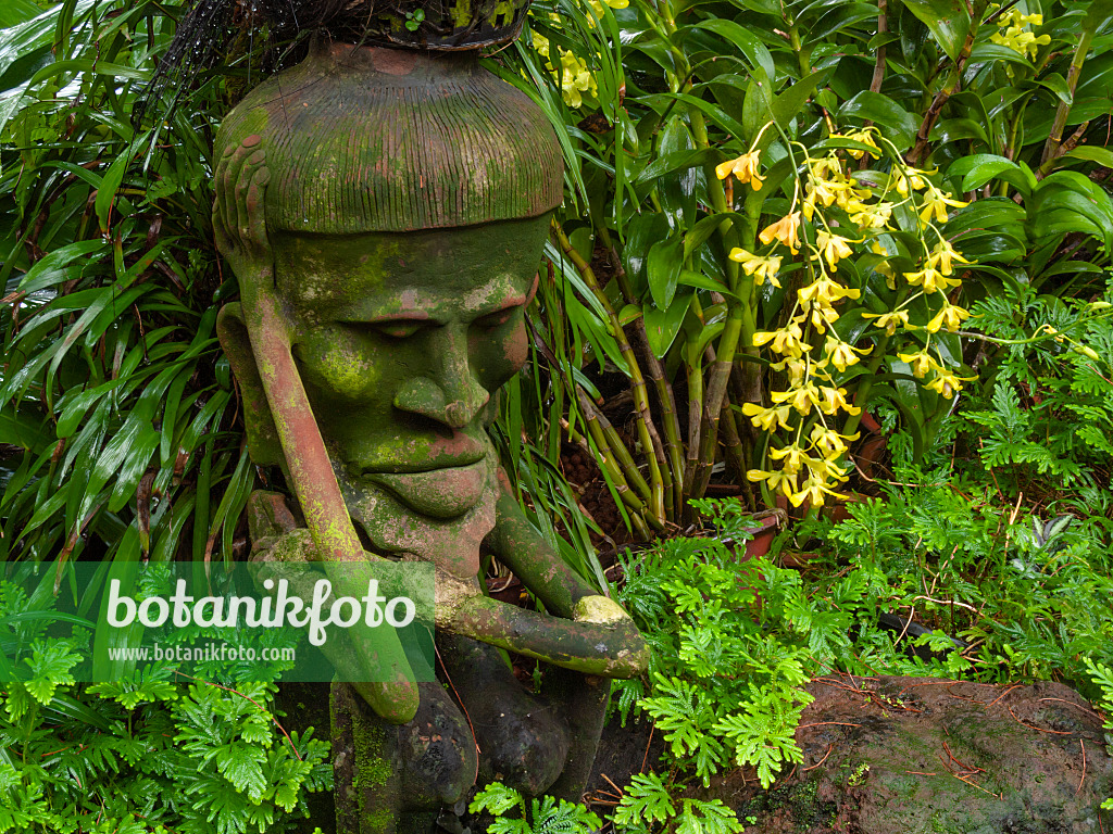 411191 - Jardin d'orchidées avec sculpture, National Orchid Garden, Singapour