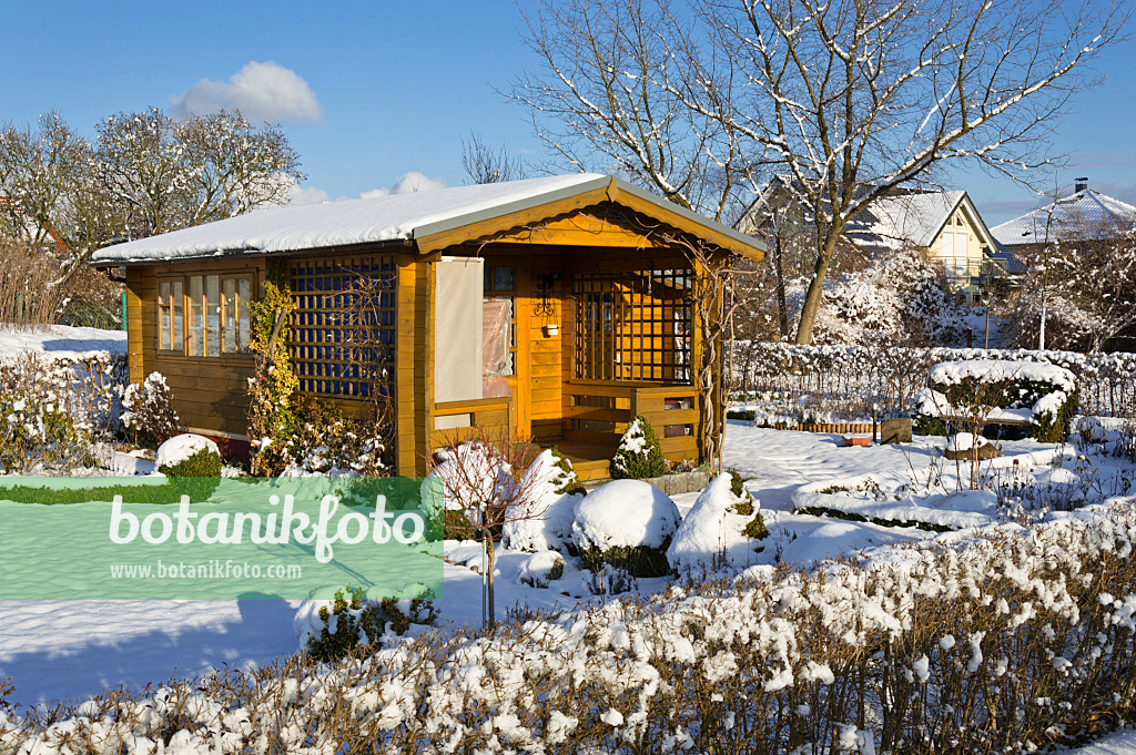 517055 - Jardin familial en hiver