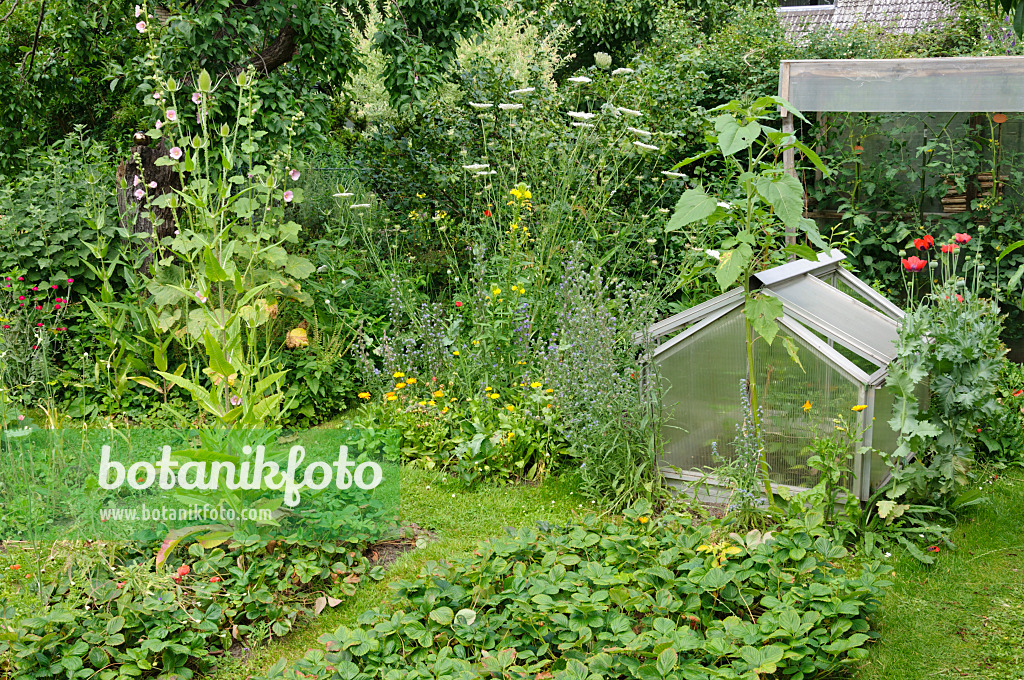 474120 - Jardin naturel avec parterres de fruits et légumes