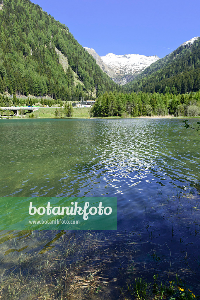 568017 - Lac Brennero, Tyrol, Autriche