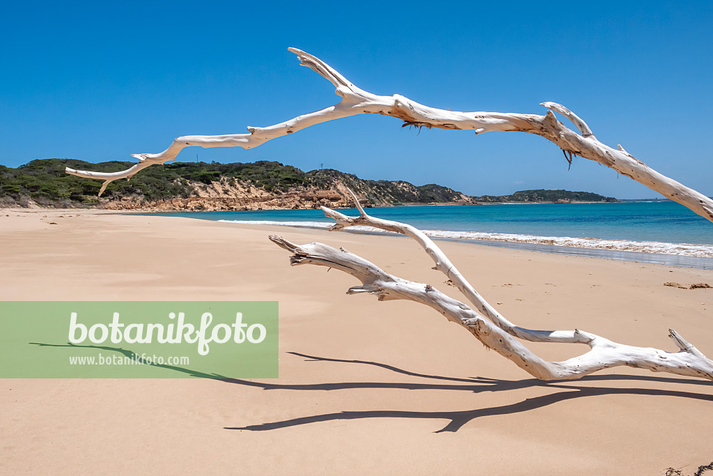 455241 - Plage de la baie de Port Phillip, parc national de Point Nepean, Australie