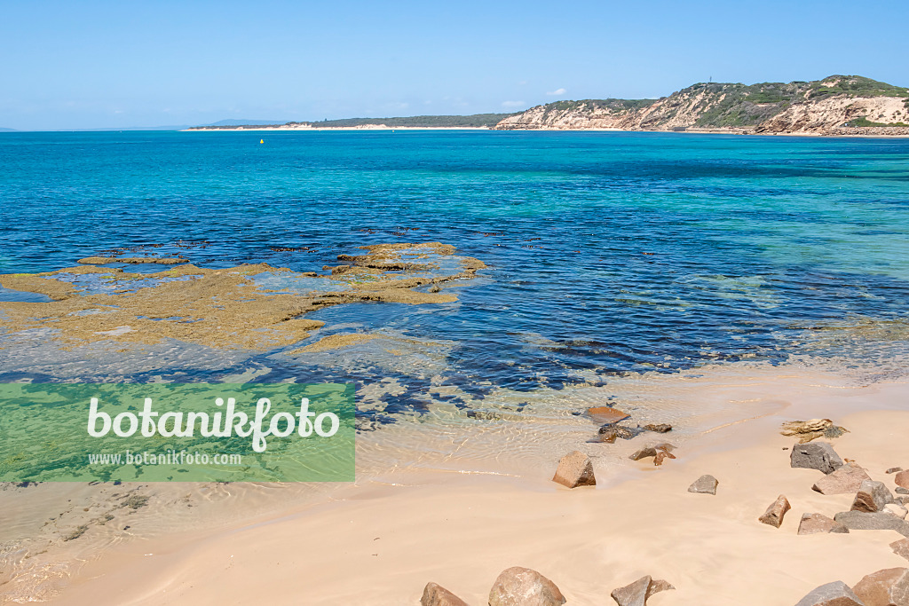 455248 - Port Phillip Bay, Parc national de Point Nepean, Australie