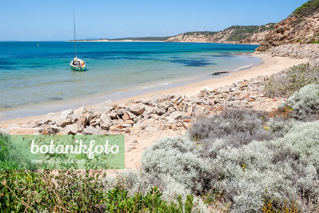 455249 - Port Phillip Bay, Parc national de Point Nepean, Australie