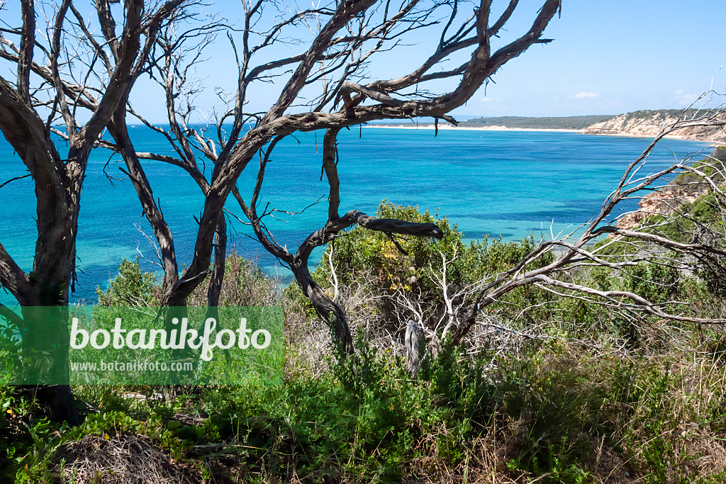 455253 - Port Phillip Bay, Parc national de Point Nepean, Australie