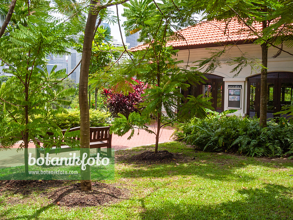 411158 - Raffles House, Fort Canning Park, Singapour