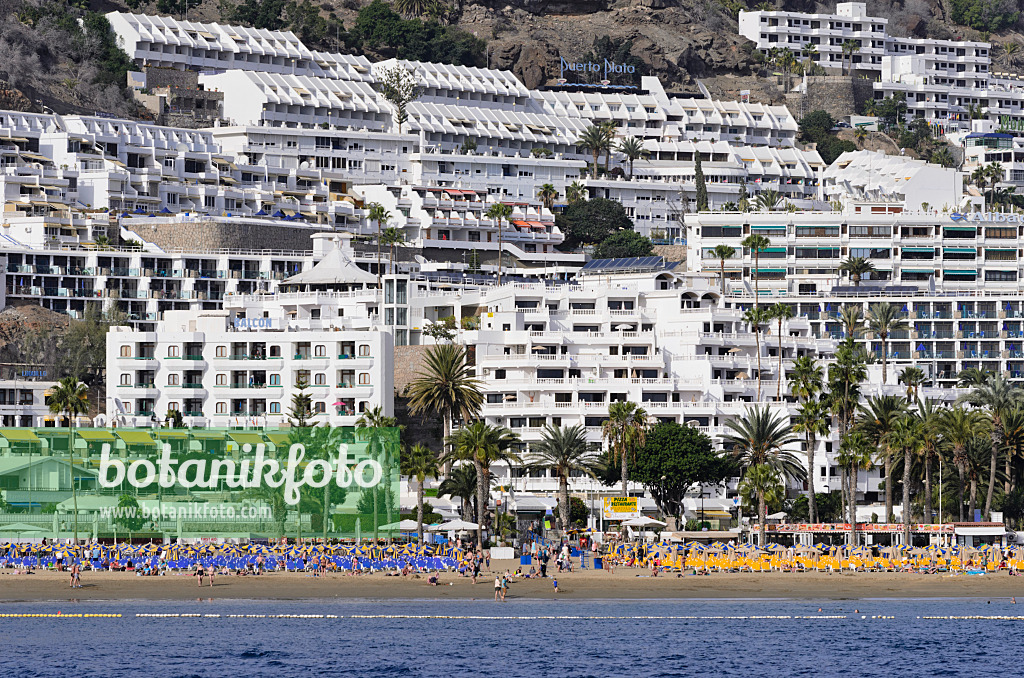 564104 - Versant d'une montagne avec des hôtels et des villages de vacances, Puerto Rico, Gran Canaria, Espagne