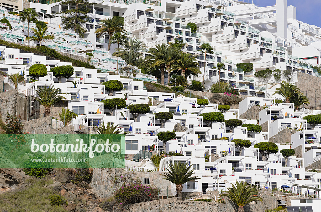 564107 - Versant d'une montagne avec des hôtels et des villages de vacances, Puerto Rico, Gran Canaria, Espagne