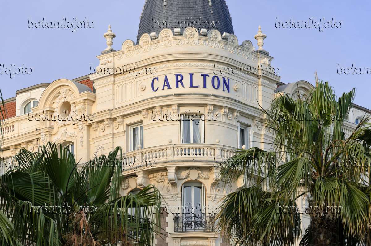 Promo [50% Off] Hotel Cannes Palace France | Usa Hotel Group Llc