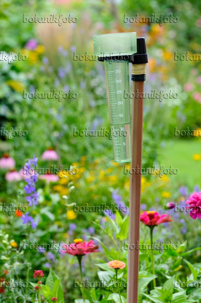 Image Pluviomètre dans un jardin - 474329 - Images de plantes et
