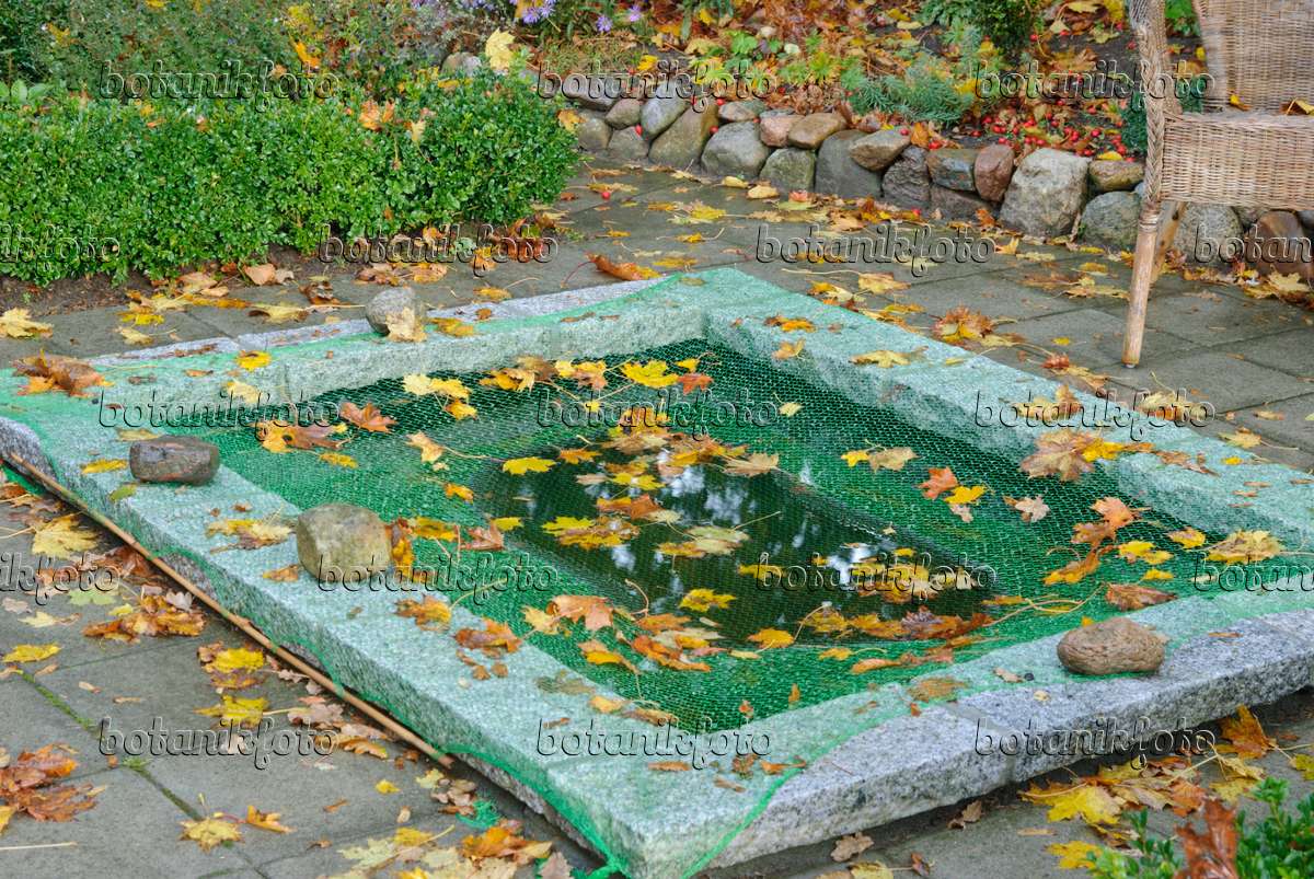 https://www.botanikfoto.com/layout/image-photo-protecting-garden-pond-with-a-net-against-autumn-517007.jpg