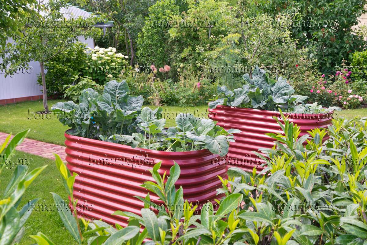 Image Raised Bed Made Of Corrugated Metal Sheet 572115 Images