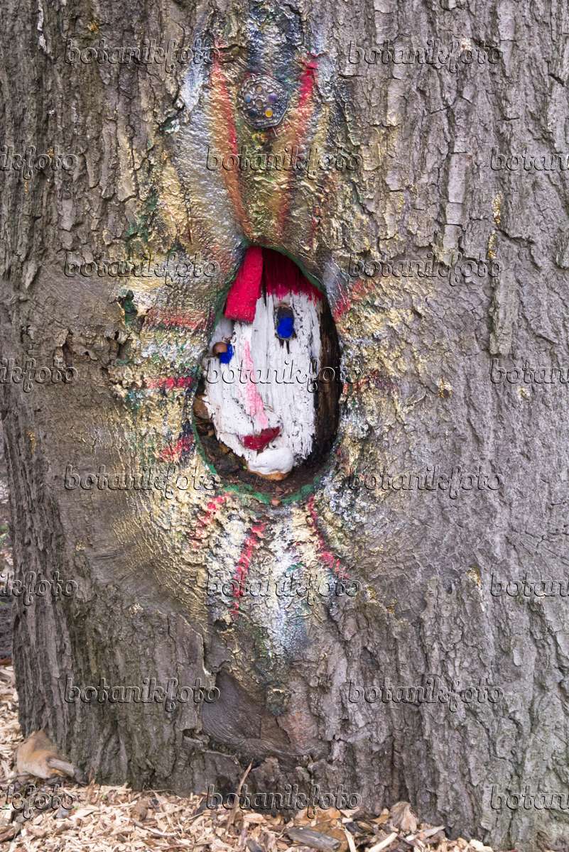 Image Tronc d'arbre avec un visage peint - 578026 - Images de plantes et de  jardins - botanikfoto