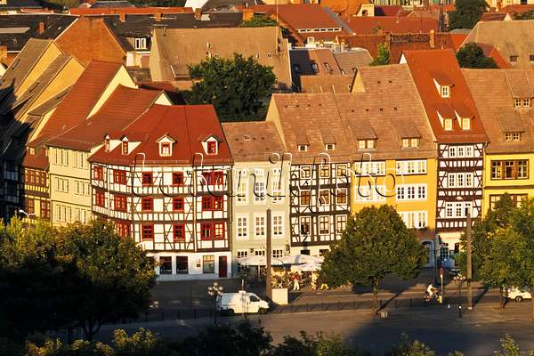 381063 - Abendliche Sonne auf Fachwerkhäuser der Altstadt, Erfurt, Deutschland