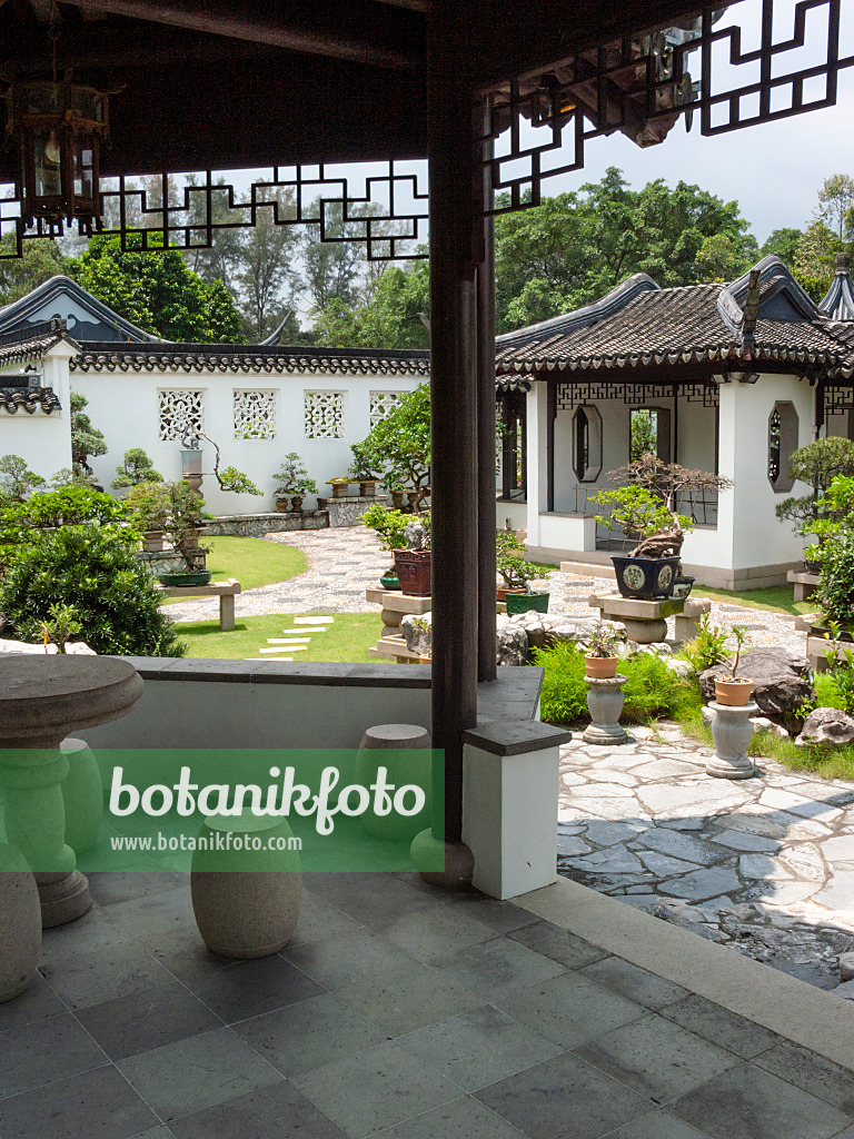 411222 - Asiatischer Garten mit Bonsais und Häusern mit weißen Mauern