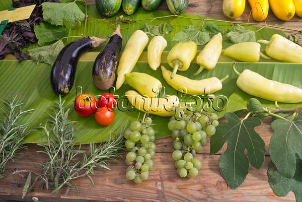 573083 - Auberginen (Solanum melongena), Tomaten (Lycopersicon esculentum), Gemüsepaprika (Capsicum) und Weinreben (Vitis vinifera)