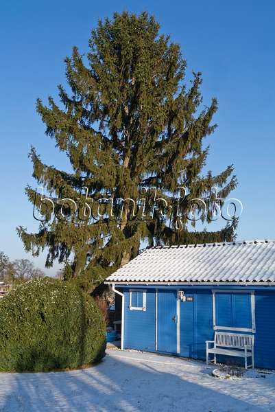 565047 - Blaue Gartenlaube in einem winterlichen Kleingarten