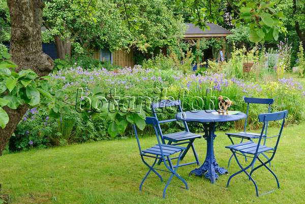 518037 - Blaue Gartenstühle und Gartentische in einem Staudengarten mit Wiesenschwertlilie (Iris sibirica) und Storchschnäbel (Geranium)
