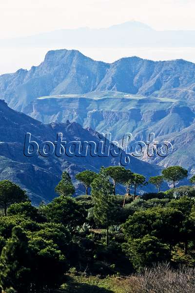 397123 - Blick auf Teneriffa, Gran Canaria, Spanien