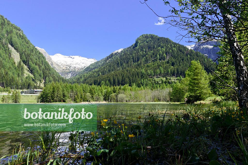 568018 - Brennersee, Tirol, Österreich