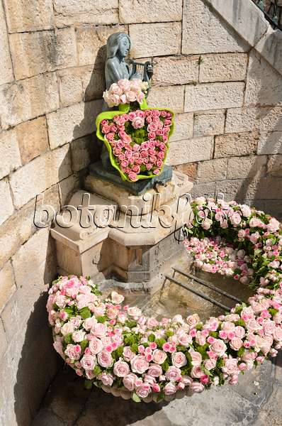533015 - Brunnen mit Kranz aus Rosenblüten