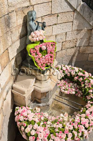 533016 - Brunnen mit Kranz aus Rosenblüten