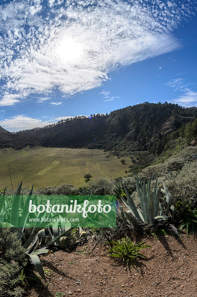 564177 - Caldera de Los Marteles, Gran Canaria, Spanien