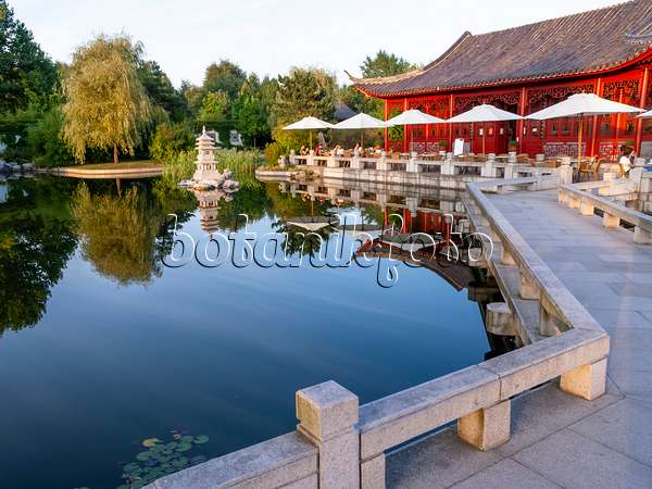 429056 - Chinesischer Garten, Erholungspark Marzahn, Berlin, Deutschland