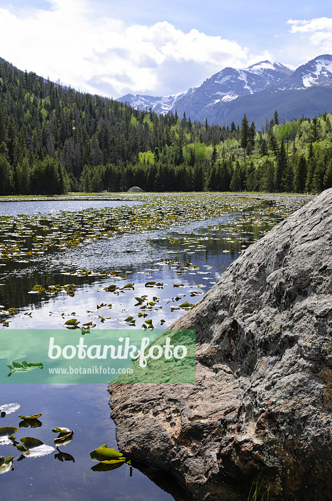 508357 - Cub Lake, Rocky-Mountain-Nationalpark, Colorado, USA