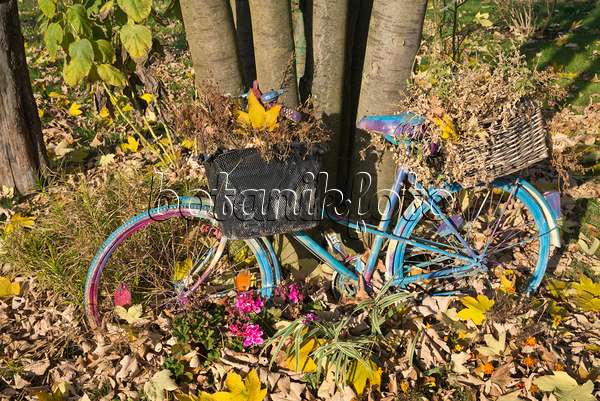 607243 - Fahrrad in einem herbstlichen Garten