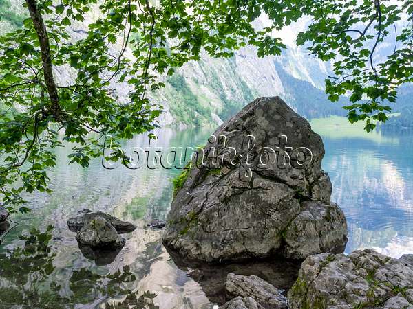 439156 - Findlinge am Obersee, Nationalpark Berchtesgaden, Deutschland