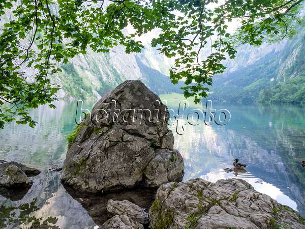 439157 - Findlinge am Obersee, Nationalpark Berchtesgaden, Deutschland