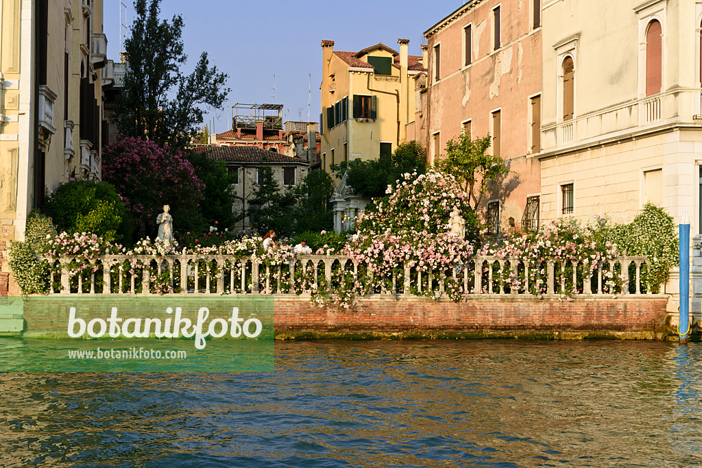 568086 - Garten des Palazzo Malipiero Venice, Venedig, Italien