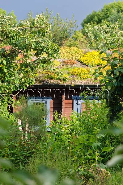 473295 - Gartenlaube mit begrüntem Dach in einem Naturgarten