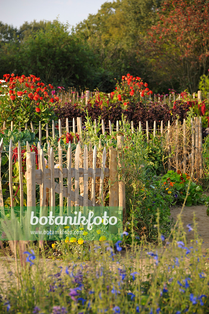 517106 - Gartentor in einem Bauerngarten