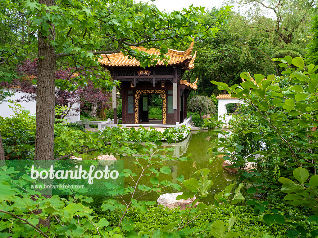 426093 - Häuschen mit pagodenförmigem Dach, Chinesischer Garten, Westpark, München, Deutschland