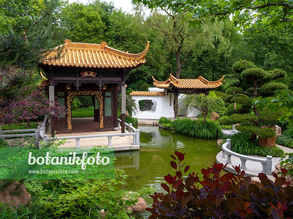 426092 - Häuschen mit pagodenförmigen Dächern, Chinesischer Garten, Westpark, München, Deutschland