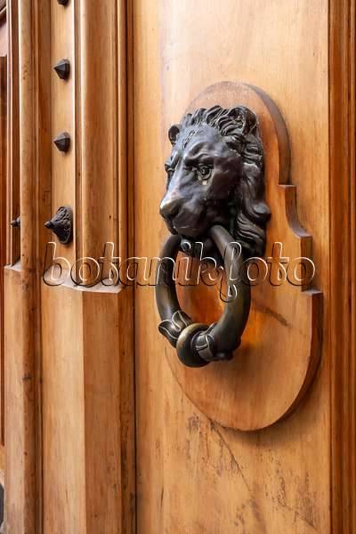 453165 - Hölzerne Tür mit eisernem Löwenkopf, Genf, Schweiz