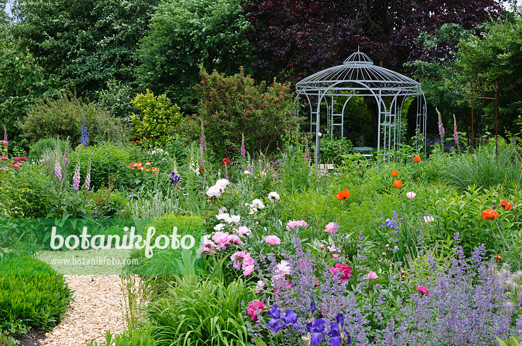 473079 - Katzenminzen (Nepeta), Schwertlilien (Iris), Pfingstrosen (Paeonia) und Türkenmohn (Papaver orientale) mit Gartenpavillon