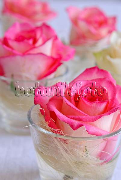 475299 - Kleine Vasen mit Rosenblüten auf weißem Tischtuch