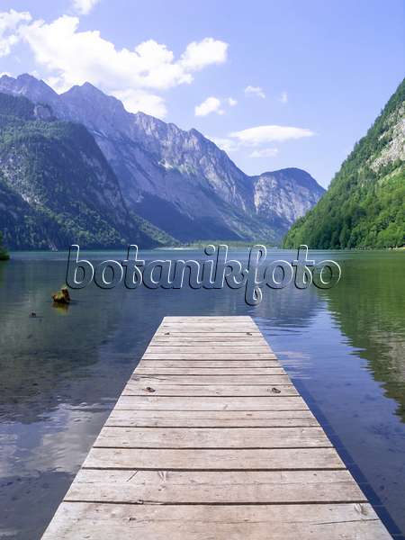 439154 - Königssee, Nationalpark Berchtesgaden, Deutschland